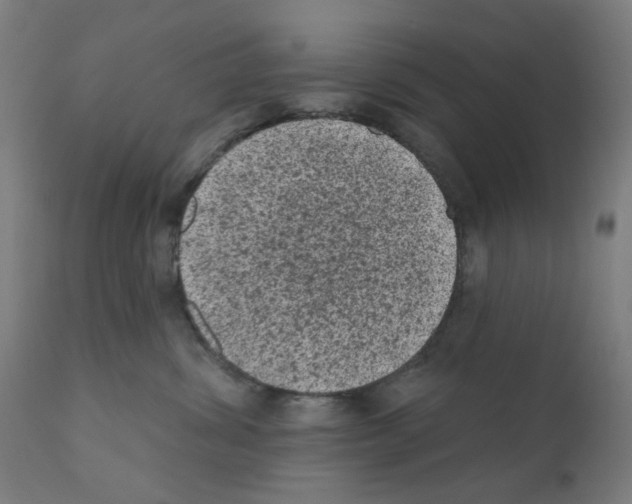 X0000110940428200907311021