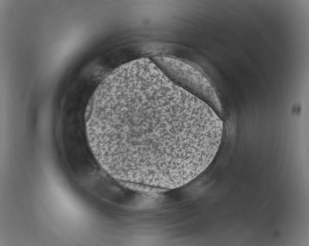 X0000110940429200907311021