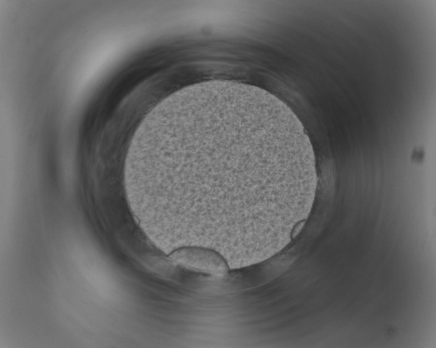 X0000110940430200907311021