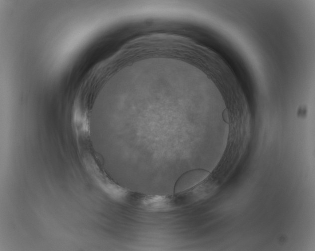 X0000110940431200907311021