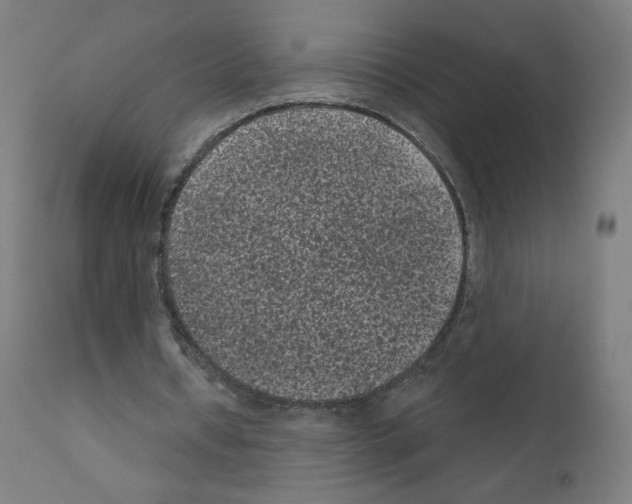 X0000110940434200907311020