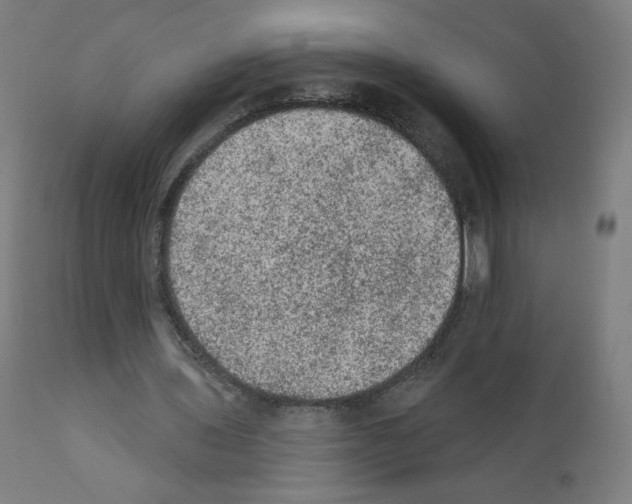 X0000110940435200907311020