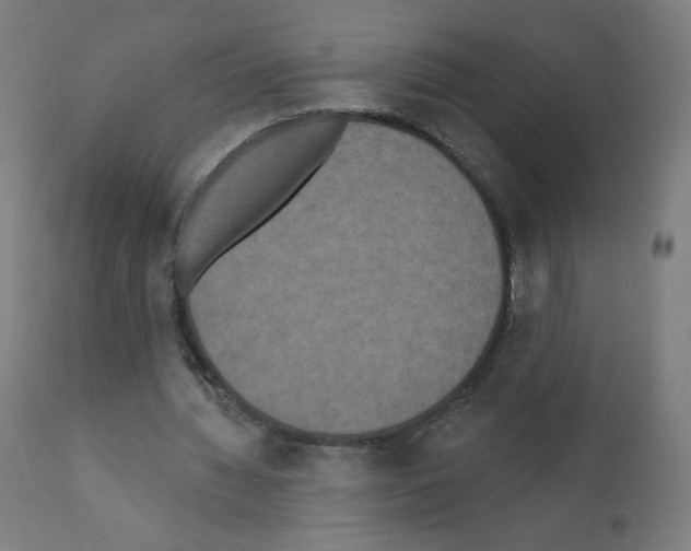 X0000110940436200907311020