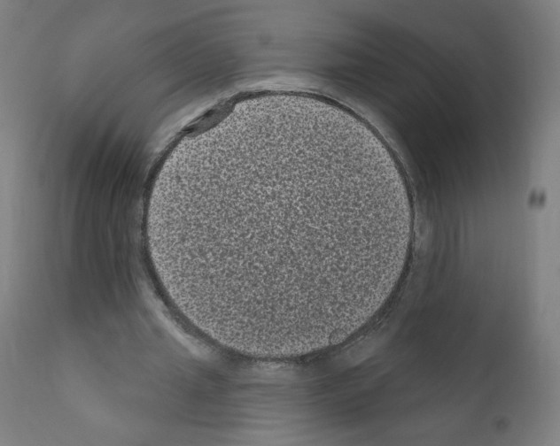 X0000110940437200907311020
