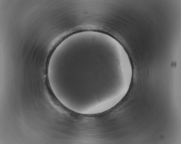 X0000110940438200907311020