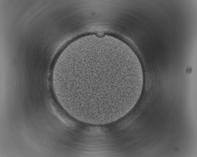 X0000110940439200907311020