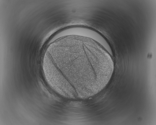 X0000110940440200907311020