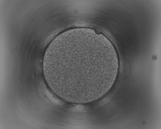 X0000110940441200907311020