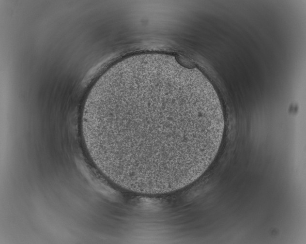 X0000110940442200907311021
