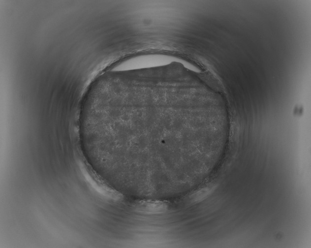X0000110940443200907311021