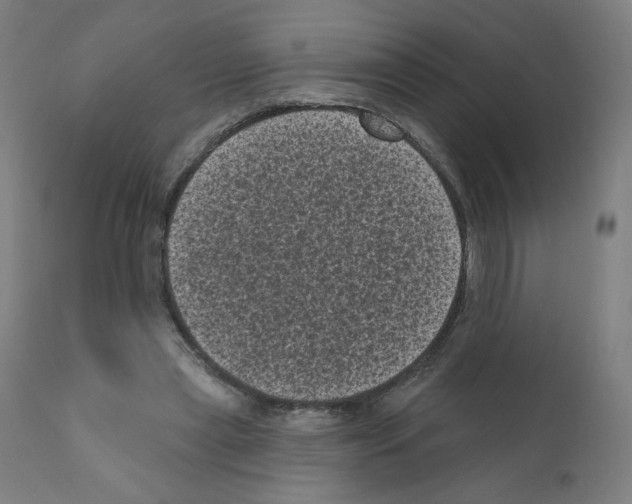 X0000110940445200907311021