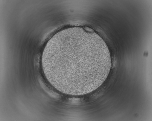 X0000110940448200907311021
