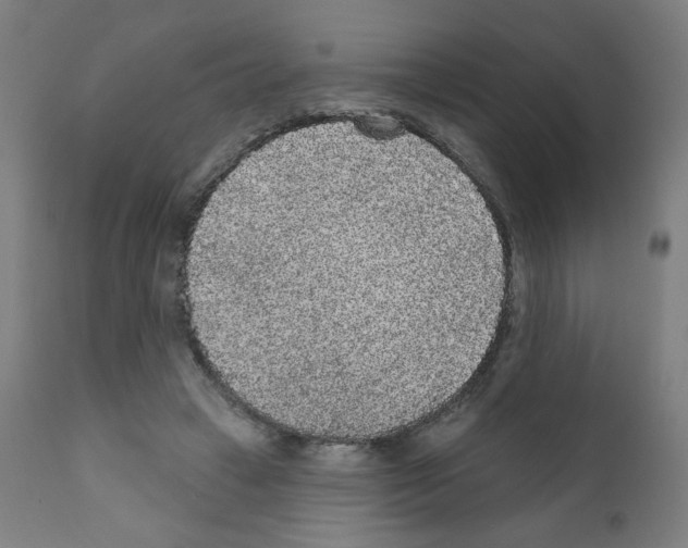 X0000110940449200907311021