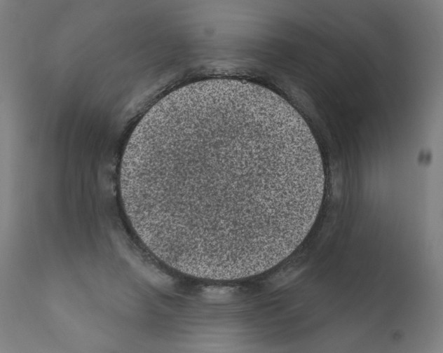 X0000110940450200907311021