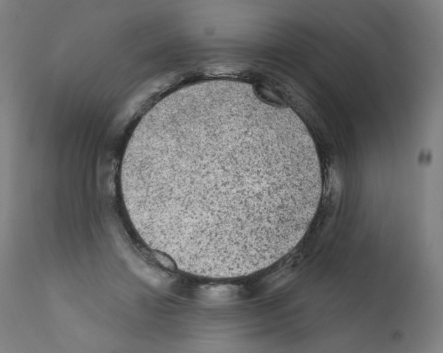 X0000110940452200907311021