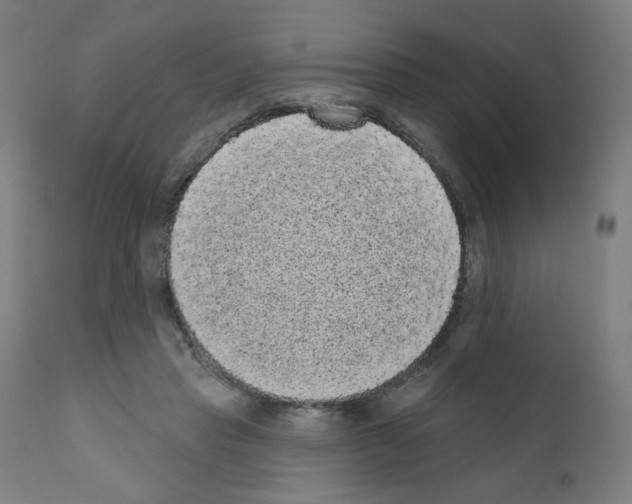 X0000110940453200907311021