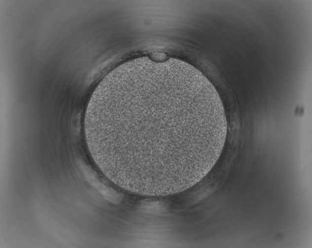 X0000110940454200907311021