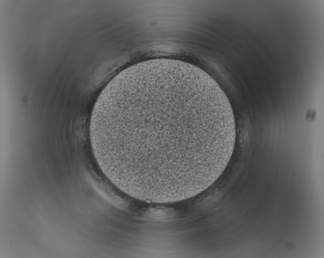 X0000110940455200907311021