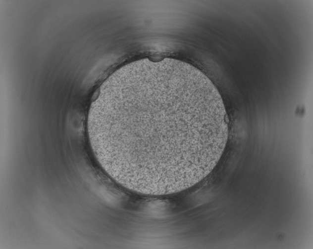 X0000110940456200907311021
