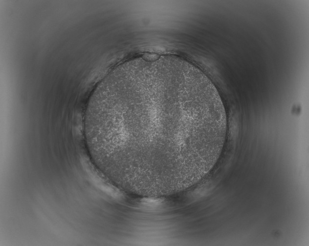 X0000110940457200907311021