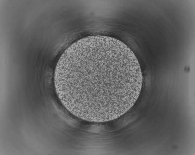 X0000110940458200907311021