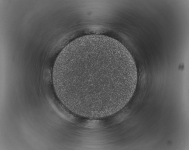 X0000110940459200907311021