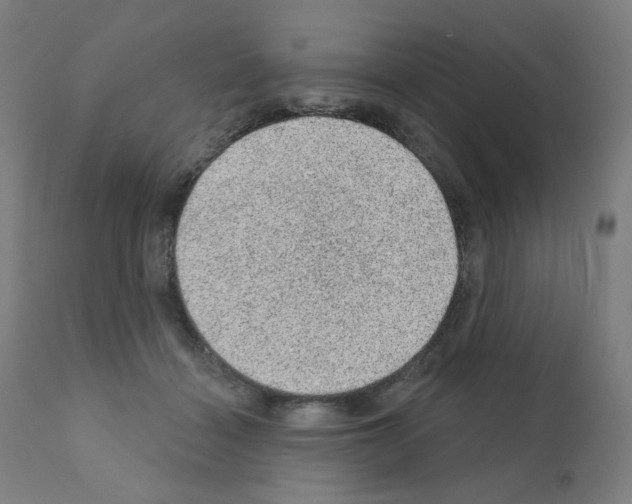 X0000110940460200907311021