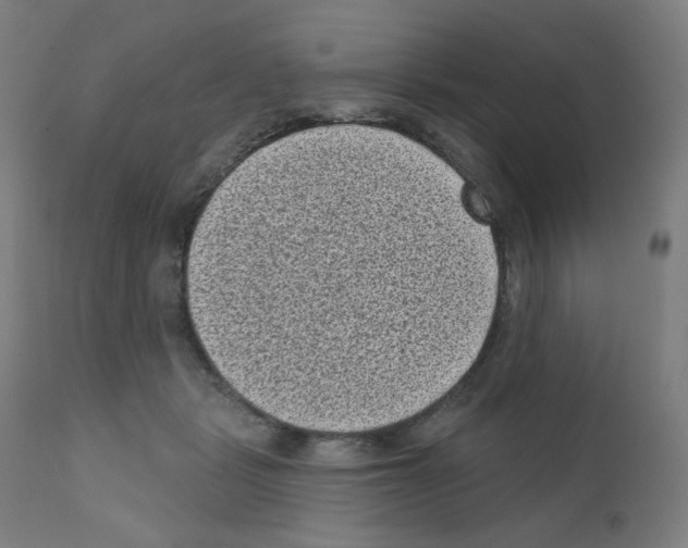 X0000110940461200907311021