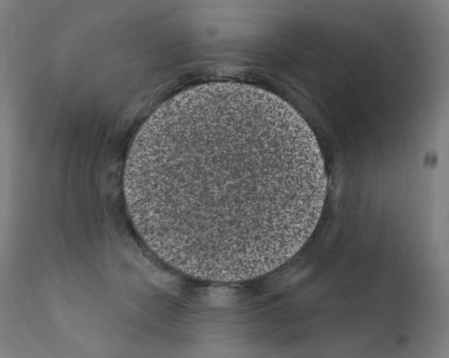 X0000110940462200907311021