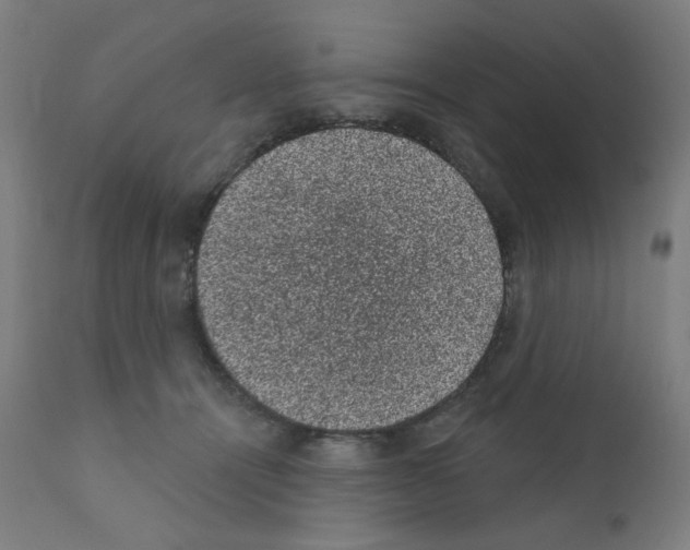 X0000110940464200907311021