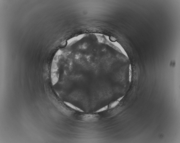 X0000110940465200907311021