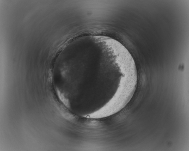 X0000110940467200907311021