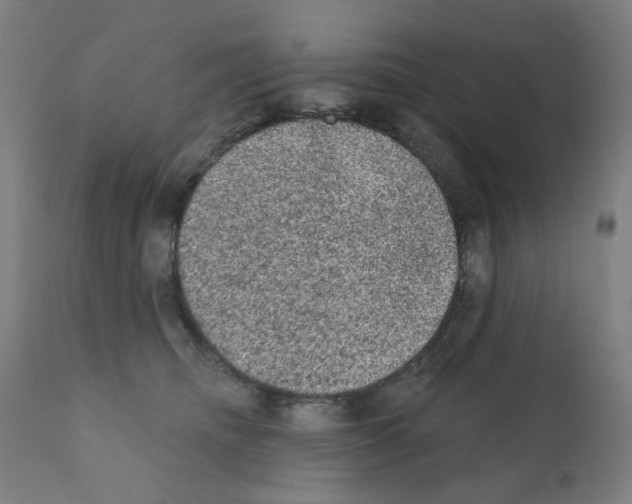X0000110940468200907311021