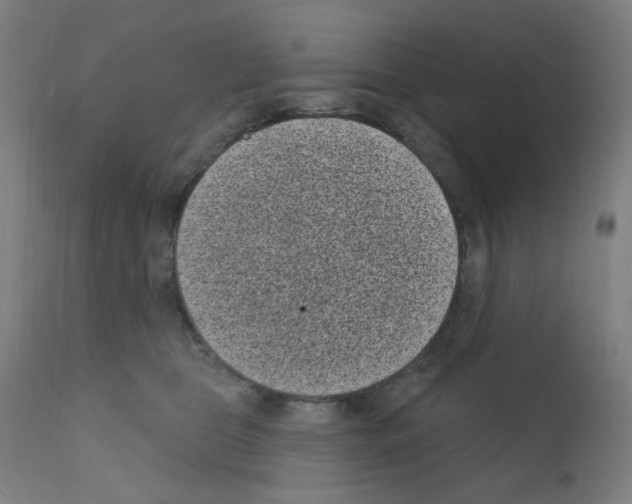 X0000110940469200907311021