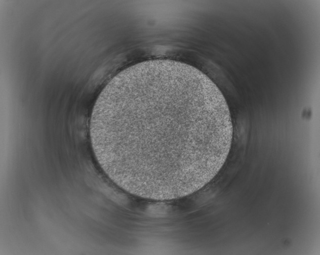 X0000110940470200907311021