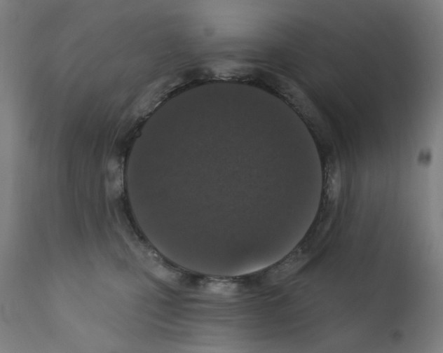 X0000110940471200907311021