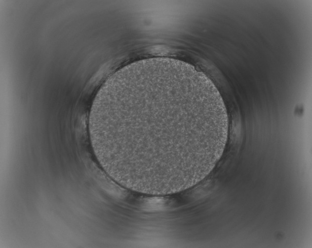 X0000110940473200907311021