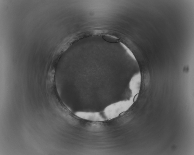X0000110940475200907311021