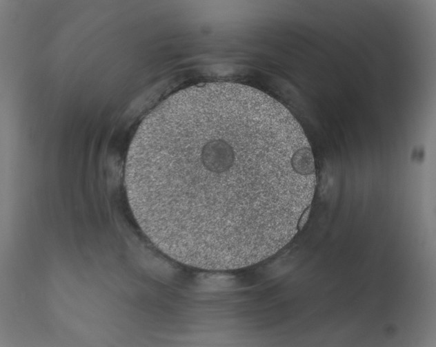 X0000110940476200907311021