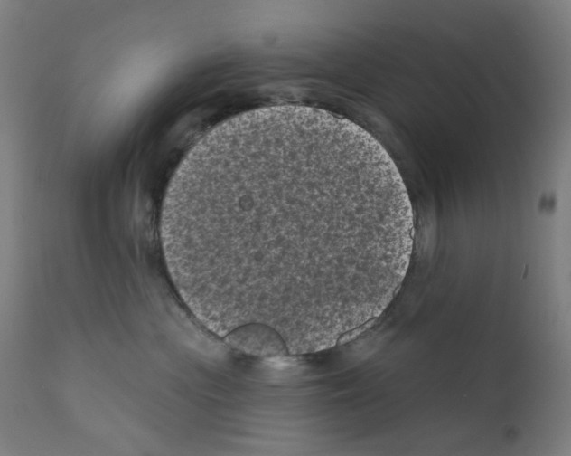 X0000110940477200907311021