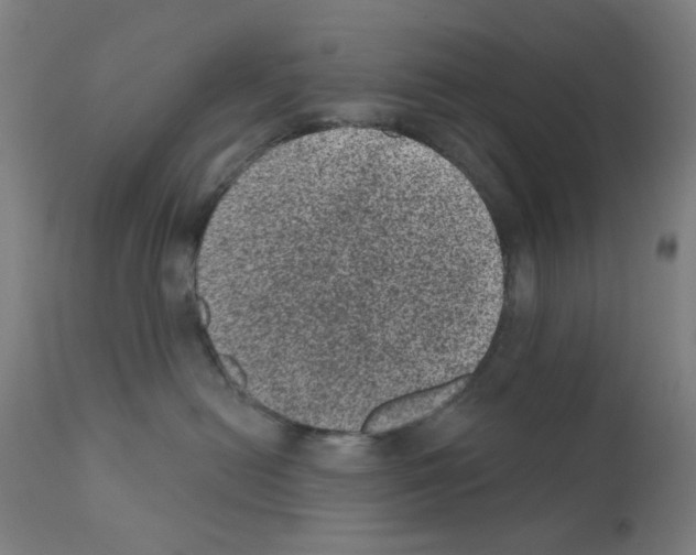 X0000110940478200907311021