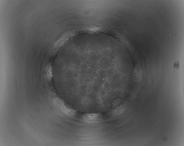 X0000110940479200907311021
