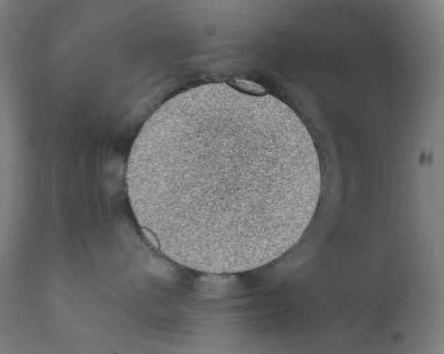 X0000110940480200907311021