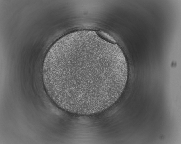 X0000110940481200907311020