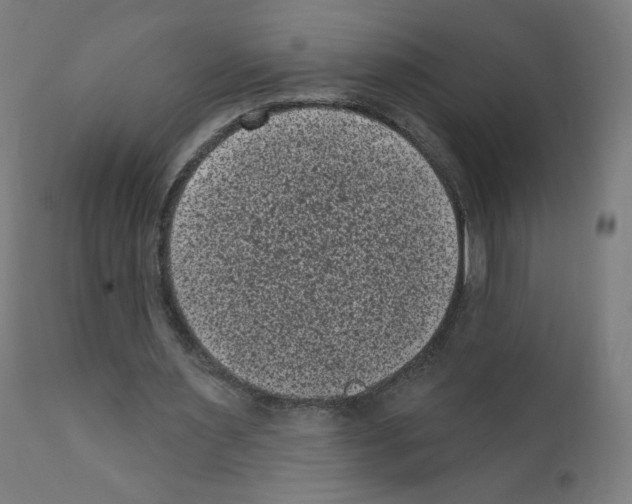 X0000110940483200907311020