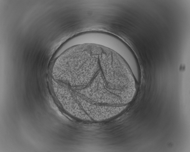 X0000110940485200907311020