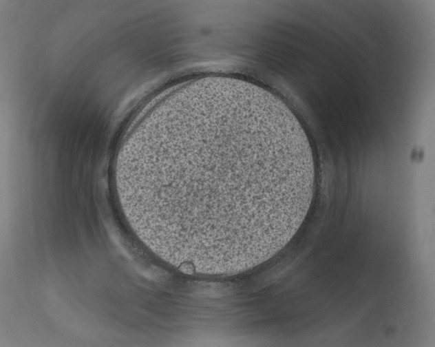 X0000110940486200907311020