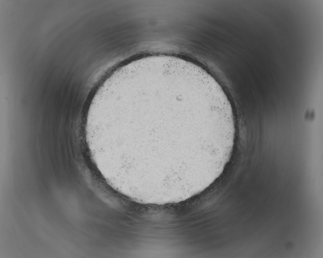 X0000110940487200907311020