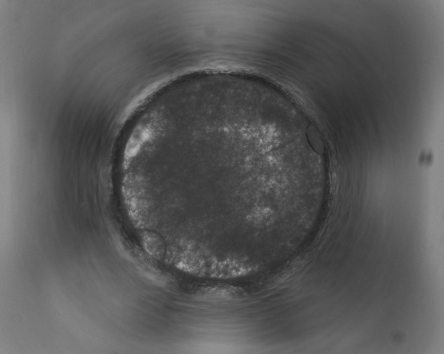 X0000110940488200907311020