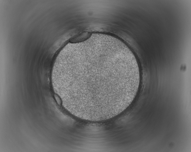 X0000110940489200907311020